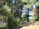 054. Парк в Нео Климе (Νέο Κλήμα) - 