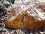 10. Гипс - Большой камень с жирным блеском и совершенной спайностью, встреченный на пути в бухту нудистов.