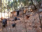 16. Кабанчики - Каменный парк Аскос (Ασκός Πέτρινο Πάρκο)